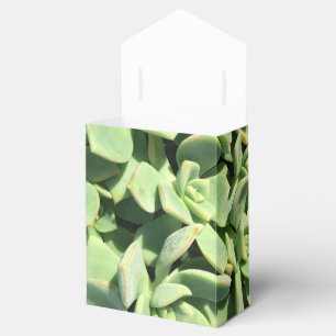 Zelt-Art-Bevorzugungs-Kasten - grüne Succulents Geschenkschachtel
