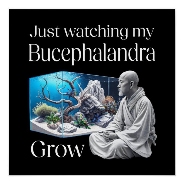 Zen and Bucephalandra – The Art of Aquascaping Poster (Vorderseite)