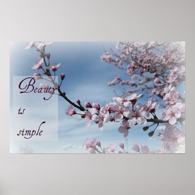 Zen-Beauty ist einfaches Cherry Blossom Poster (Vorne)