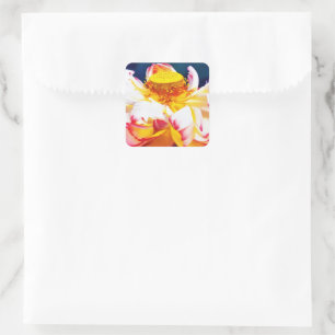 Zen Blooming Pink Lotus Blume Wasserfarbe Quadratischer Aufkleber