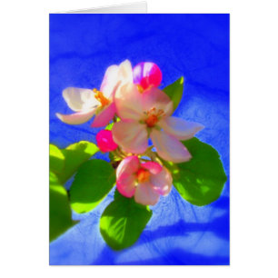 Zen blüht Karte