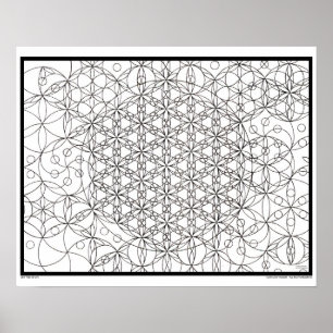 Zen Blume Life Coloring Poster
