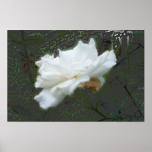 Zen-Blume Poster