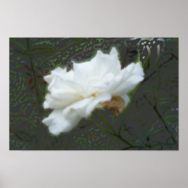 Zen-Blume Poster (Vorne)