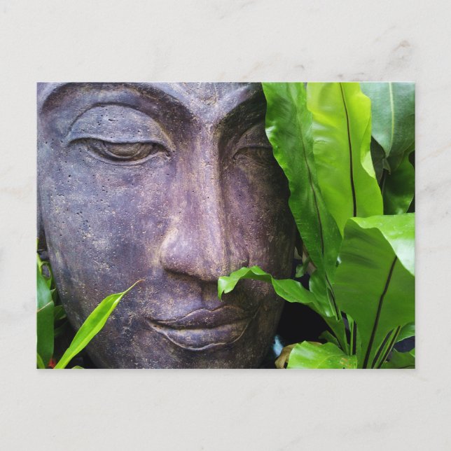 Zen Buddha Serenity Postcard Postkarte (Vorderseite)
