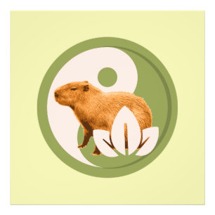 Zen Capybara Yin Yang Fotodruck
