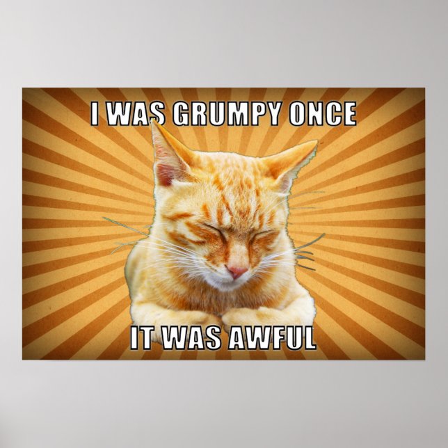 Zen Cat Poster (Vorne)