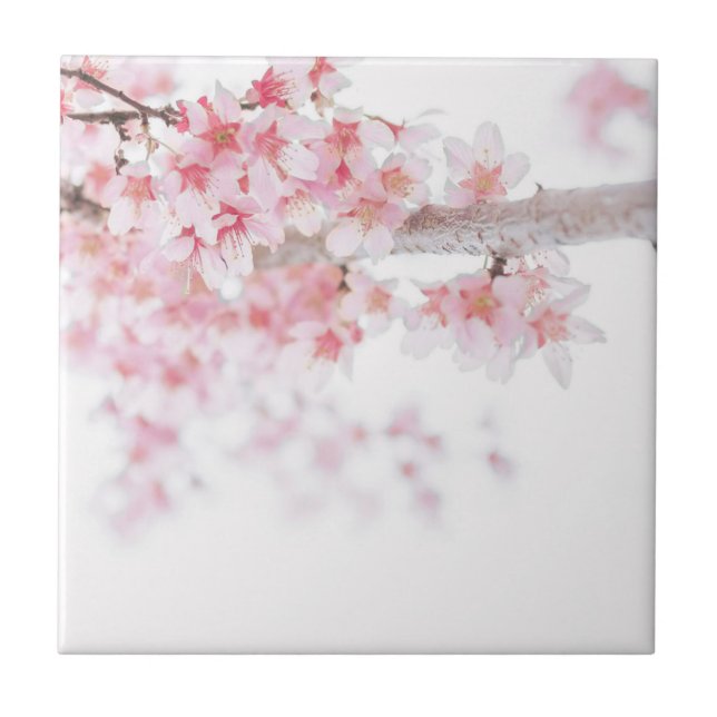 ZEN CHERRY BLOSSOM KERAMIK FLORAL TILLE FLIESE (Vorderseite)