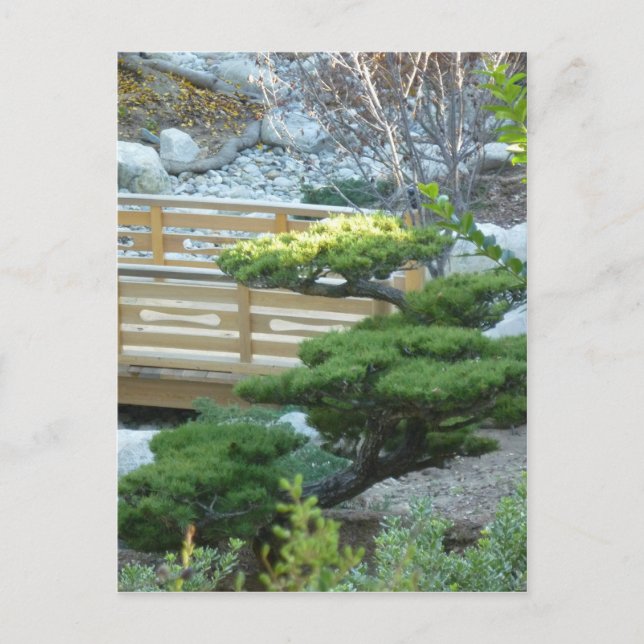 Zen Garden Postkarte (Vorderseite)
