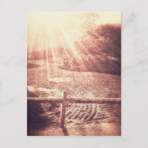 Zen Garden Postkarte