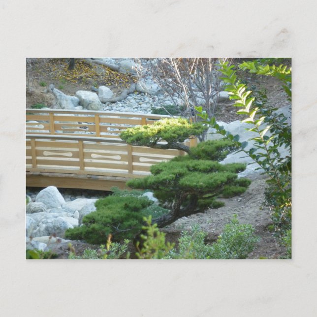 Zen Garden Postkarte (Vorderseite)