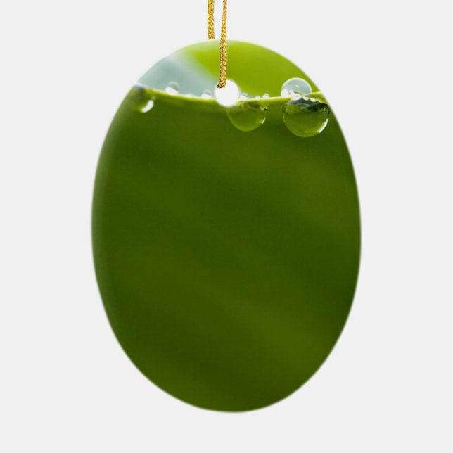 Zen Liebe Green Lotus Leaf Wasserfall Keramik Ornament (Hinten)