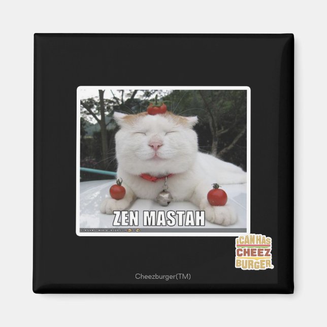 Zen Mastah Magnet (Vorne)