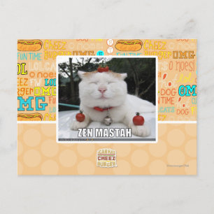 Zen Mastah Postkarte