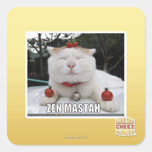 Zen Mastah Quadratischer Aufkleber