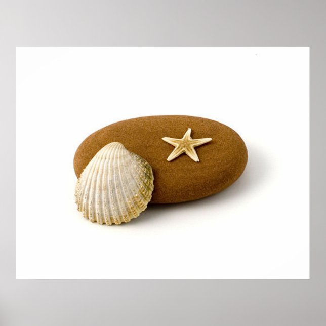 Zen Nature Sea Muschel Starfish Pebble Poster (Vorne)