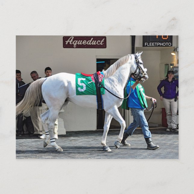 Zen Papa Postkarte (Vorderseite)