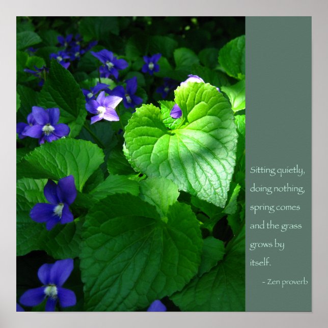 Zen Proverb Quote Poster (Vorne)