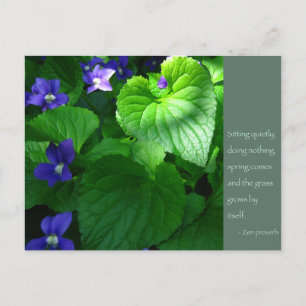 Zen Proverb Quote Poster Postkarte