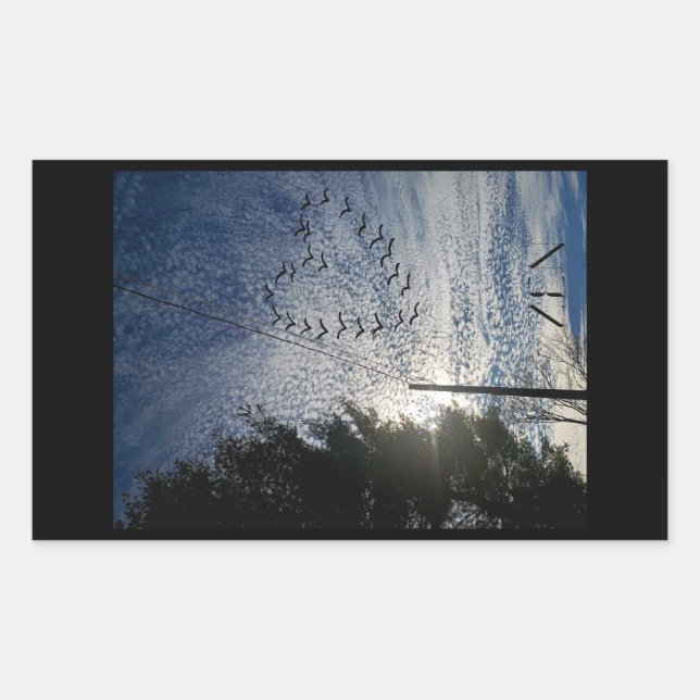 ZEN RECHTECKIGER AUFKLEBER (Vorderseite)