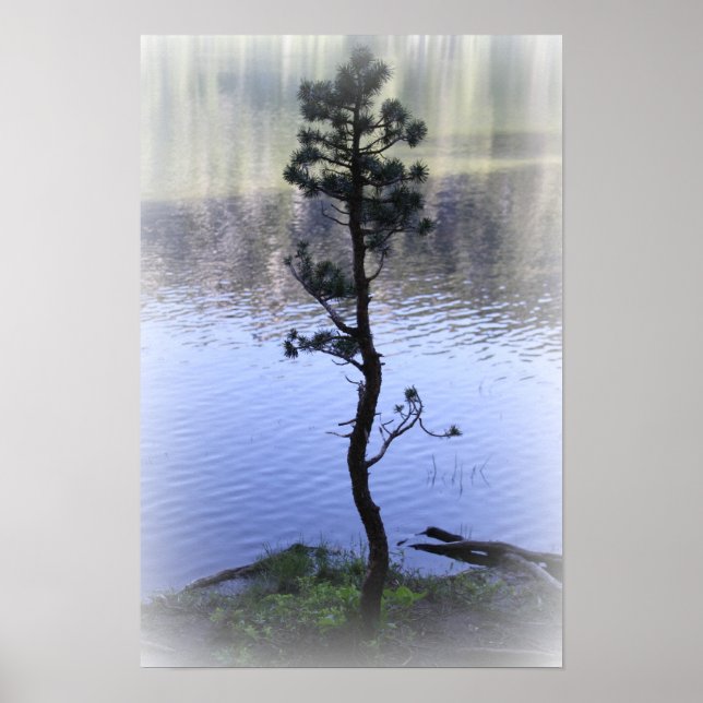 Zen-Reflektion - Wasser und Baumposter Poster (Vorne)