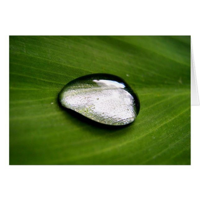 Zen-Regenfallkarte (Vorderseite (Horizontal))