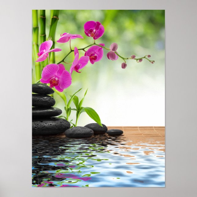 Zen,Ruhe,rosa orchid,schön,Wellness-Center,Heilung Poster (Vorne)