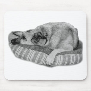 Zen Schreibtisch, Lounge-Hundepad Mousepad