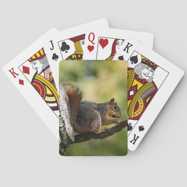 Zen Spielkarten (Rückseite)