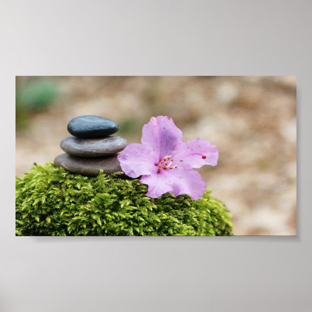 Zen Stones, Blume, Landschaft Poster (Vorne)
