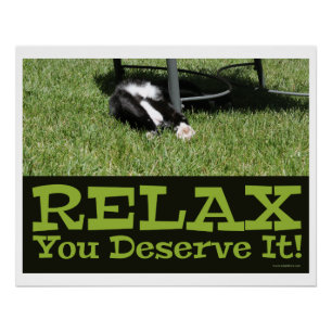 Zen und Cat Relax Slogan Poster