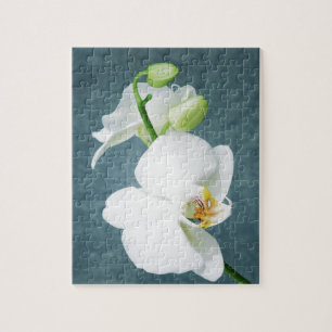 Zen White Orchid Blume Puzzle