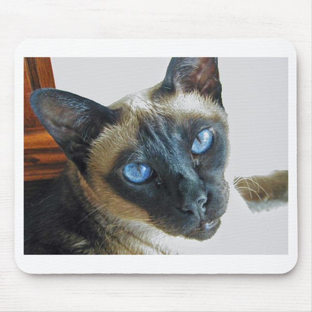 ZenaLrg_7_20_05_edited-1 Mousepad (Vorne)