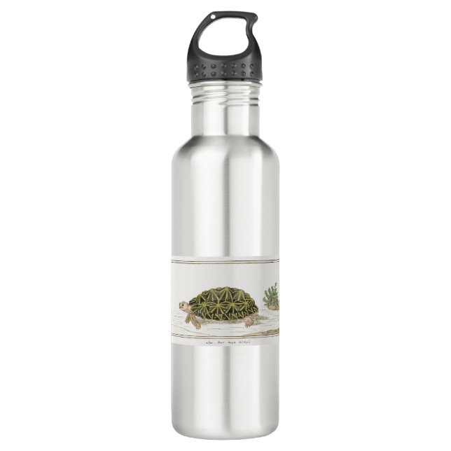 Zent Tortoise | Schildkrötenmeer Edelstahlflasche (Vorderseite)