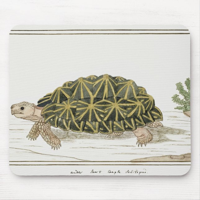 Zent Tortoise | Schildkrötenmeer Mousepad (Vorne)