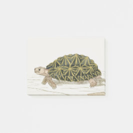 Zent Tortoise | Schildkrötenmeer Post-it Klebezettel
