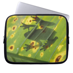 ZENTRALAMERIKA, Costa Rica, Frosch in der Hinterbe Laptopschutzhülle