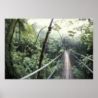 Zentralamerika, Costa Rica, Monteverde Cloud