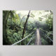 Zentralamerika, Costa Rica, Monteverde Cloud Poster (Vorne)