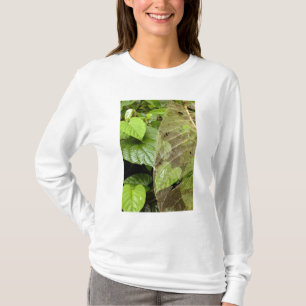 Zentralamerika, Costa Rica, Sarapiqui, Braulio T-Shirt
