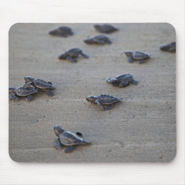 Zentralamerika, El Salvador, Pazifik Mousepad (Vorne)