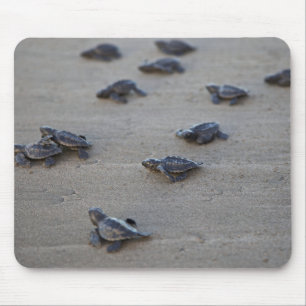 Zentralamerika, El Salvador, Pazifischer Ozean Mousepad