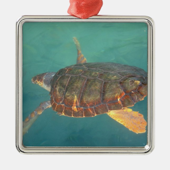 Zentralamerika, Panama, Bocas del Torro Silbernes Ornament (Vorne)