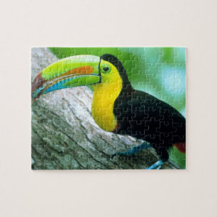 ZENTRALAMERIKA, Panama, Insel Borro Colorado 2 Puzzle