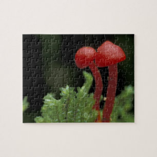 Zentralamerika, Panama, Provinz Chiriqui, 2 Puzzle