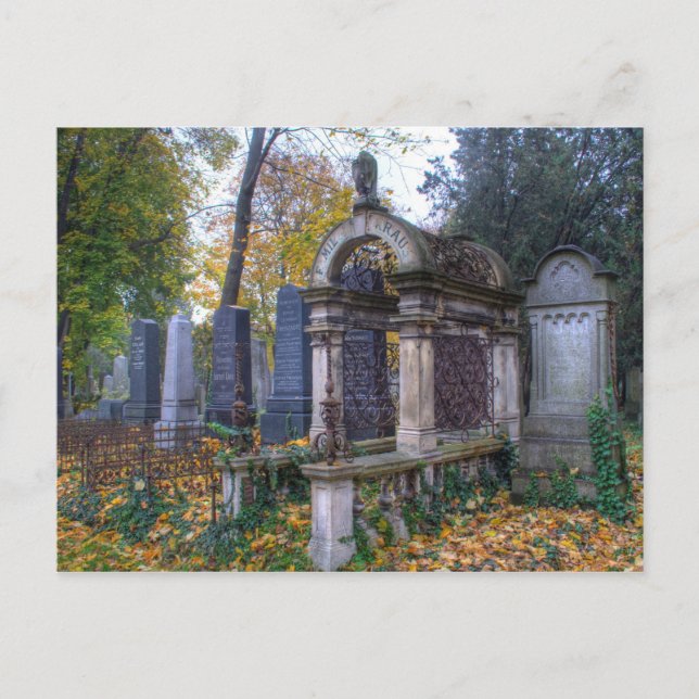 Zentralfriedhof Postkarte (Vorderseite)