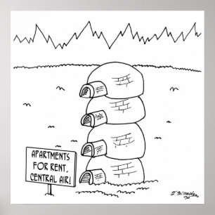 Zentralluft in Iglu Poster