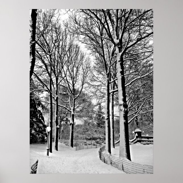 Zentralpark 2010 Schnee - CIMG6447-a Poster (Vorne)
