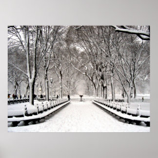 Zentralpark 2010 Schnee - CIMG6496 Poster