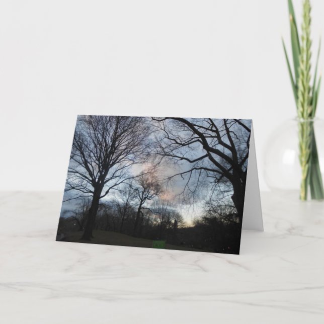 Zentralpark B Karte (Vorderseite)